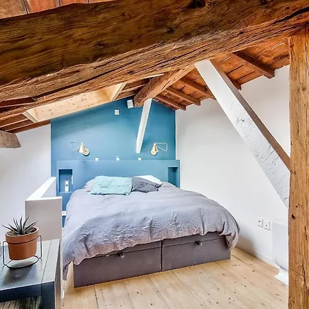Apartment Large With Terrace ** ** Toulouse
