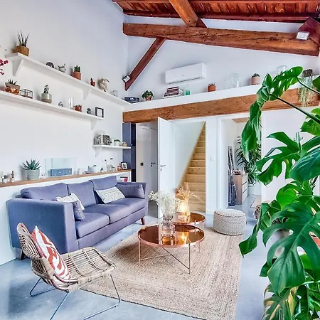Large With Terrace ** ** Toulouse